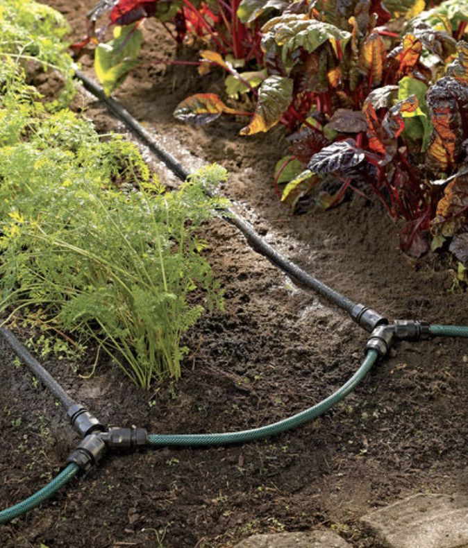Drip Irrigation Best Practices To Succeed iScape Tips